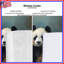 Panda, rideaux occultant et rideaux Panda-472348930-472348931