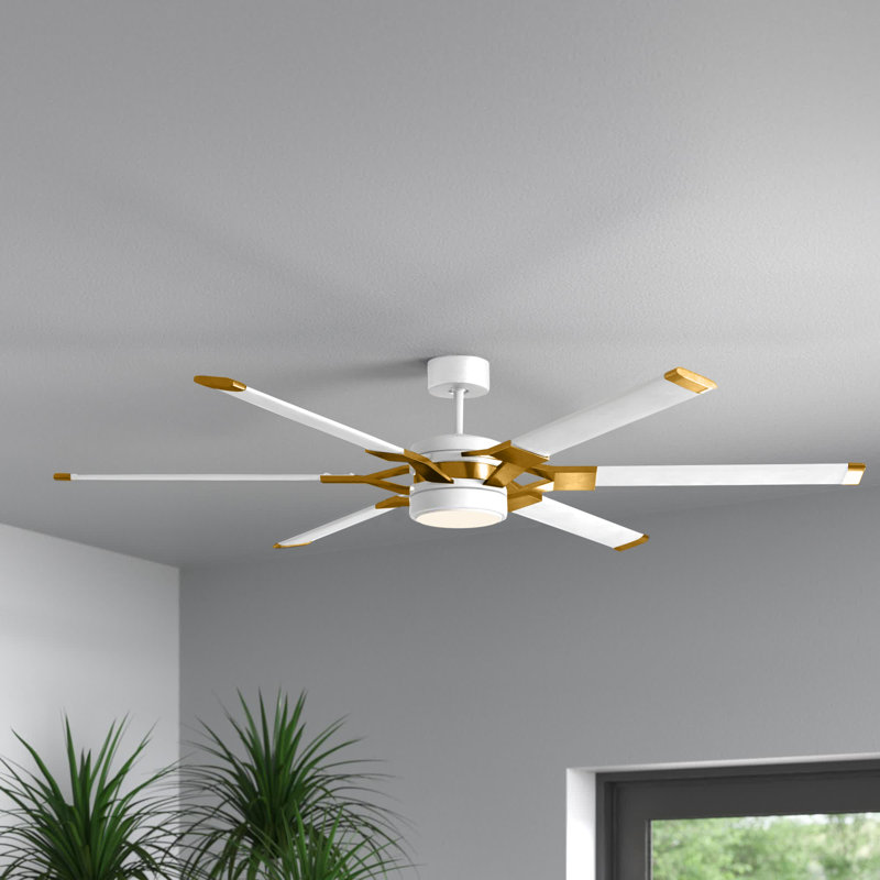 Ceiling Fan with LED Lights, Matte White/Burnished Brass with White Blades, 62 inches