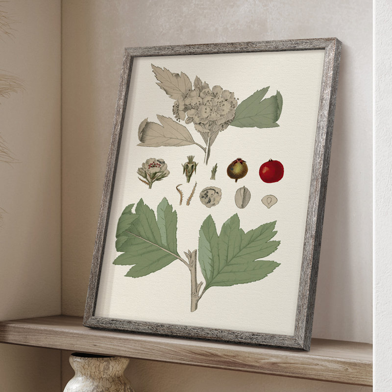 «Leaves & Berries IV», reproduction encadrée - bois massif, H 30 po x l 24 po