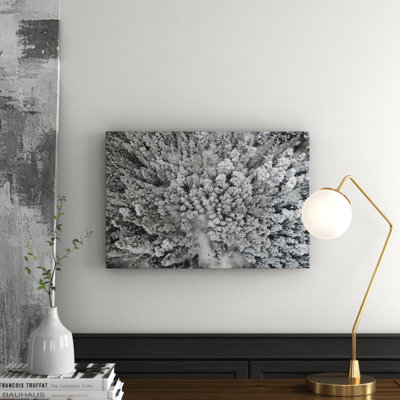 Karolis Janulis - Wrapped Canvas Print