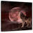 Brampt Wolf Moon Howling-109214774