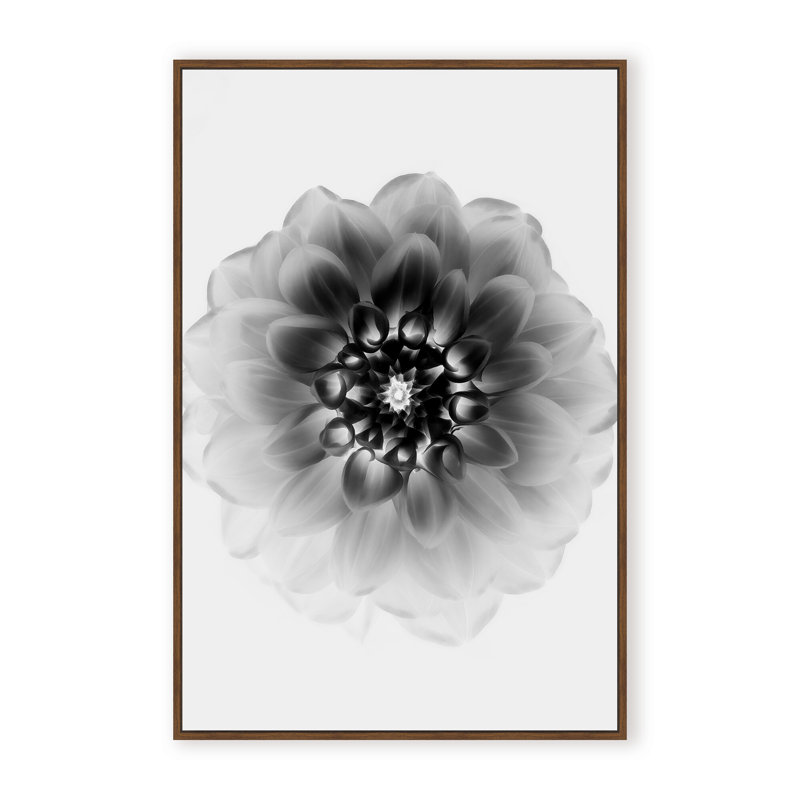 X-Ray Print by Alex Zhao, 48" H x 32" W x 1.125" D, Black, Framed Matted Print
