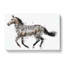 Horse Deconstructed In Abstract - Wrapped Canvas Painting-55313296