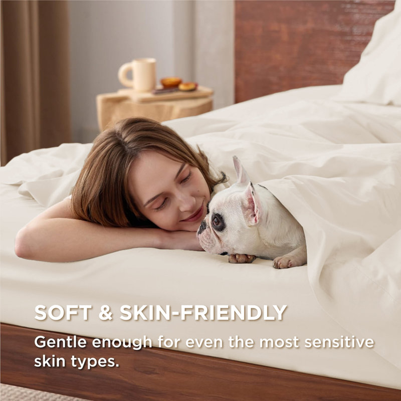 Moitreo Luxury Egypt Cotton Flat Sheet Breathable & Durable Bedding Sheet, Kingsize (5'), Cream