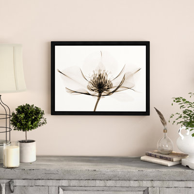 Graphic Art on Canvas
