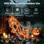 Squelette de 90 cm et squelette de chien avec guirlande lumineuse, décorations d'Halloween extérieures