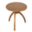 Vikram Solid Wood End Table-1744372561