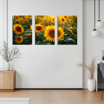 Sunflower Field Canvas Wrapped Wall Art Set Of 3 For Living Room Decor