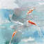 Koi Fish in Blue Water - Reproduction matte asiatique encadrée pour la décoration-435964330-435964335