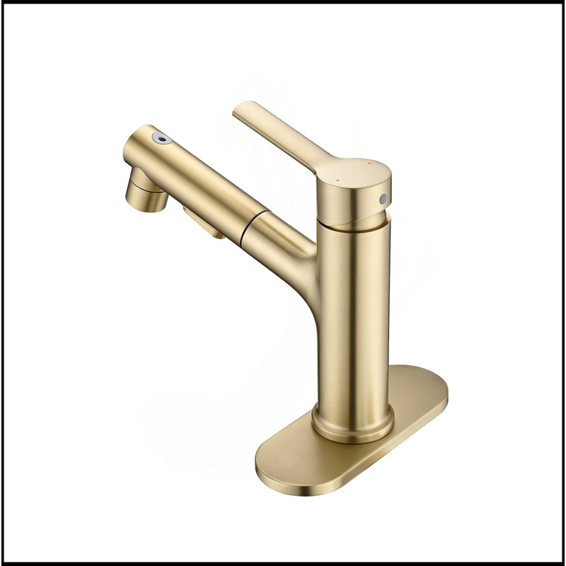 Robinet de lavabo de salle de bain avec douchette extractible, robinet de lavabo de salle de bain moderne à poignée simple avec bouchon de bonde escamotable et plaque de pont