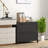 Metal frame File Cabinet with 2 Drawers and Keys