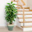 Jardinière extérieure Berlina-1292973036-1293001908