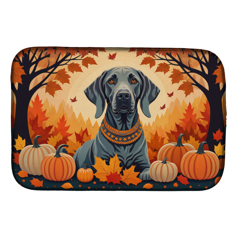 Tapis de séchage