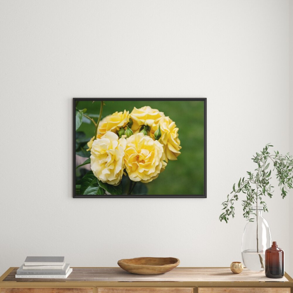 Gerahmtes Wandbild Weiß gelbe Rose Blumen