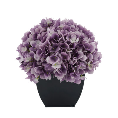 Arrangement floral hortensia en pot