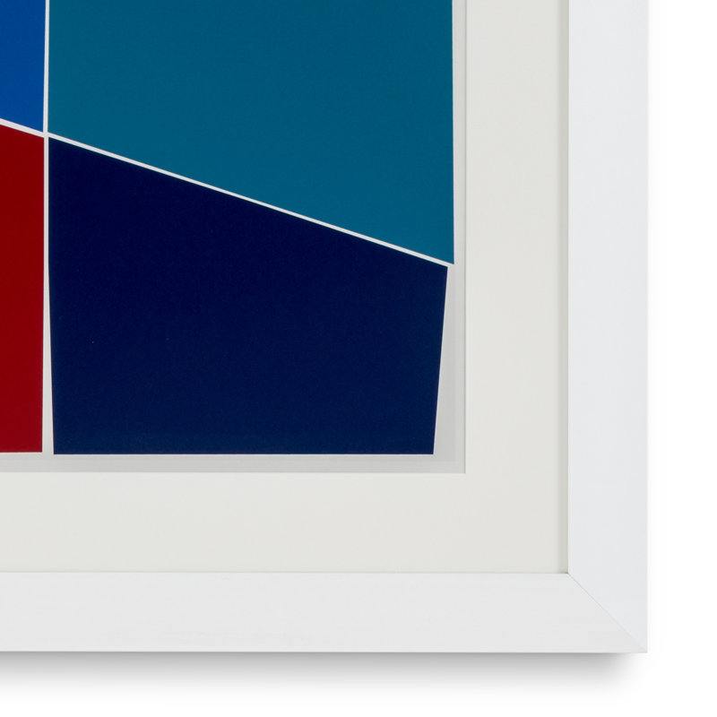 Print Silkscreen From Boissière II By Henri Boissière