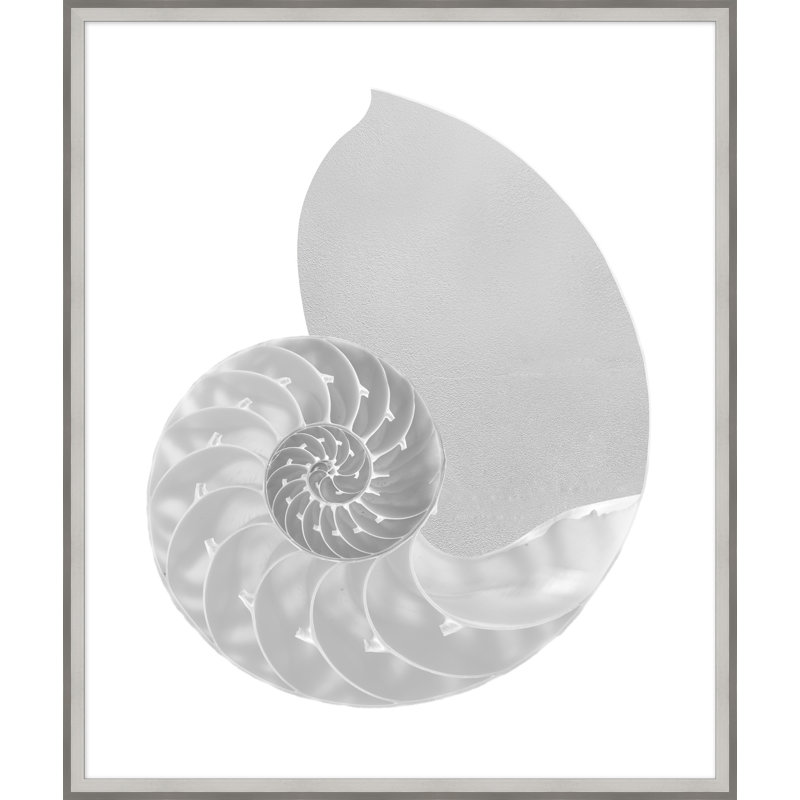 Silver Leafed Shell 1' Framed Graphic Art Print on Glass