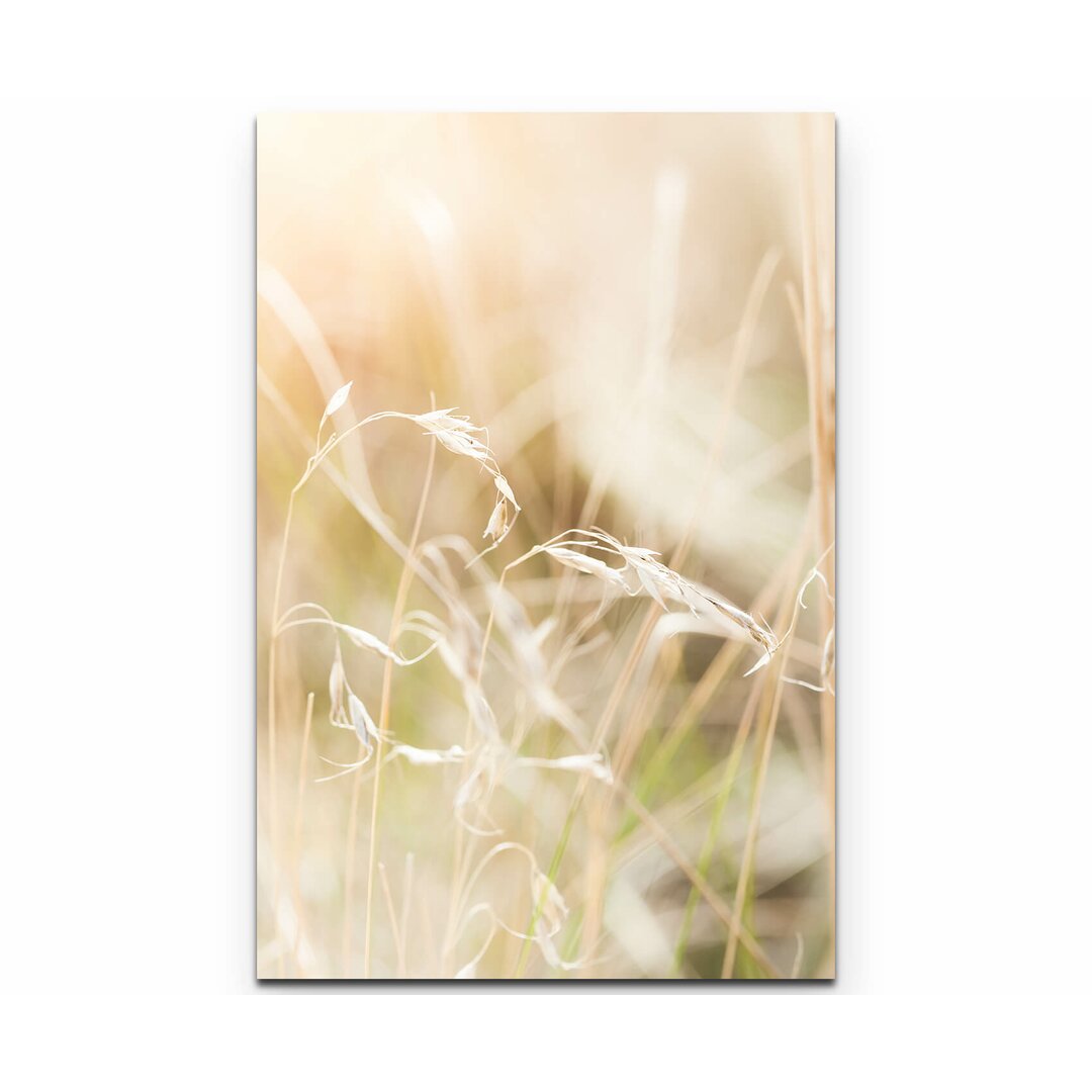 Leinwandbild Gras im Feld