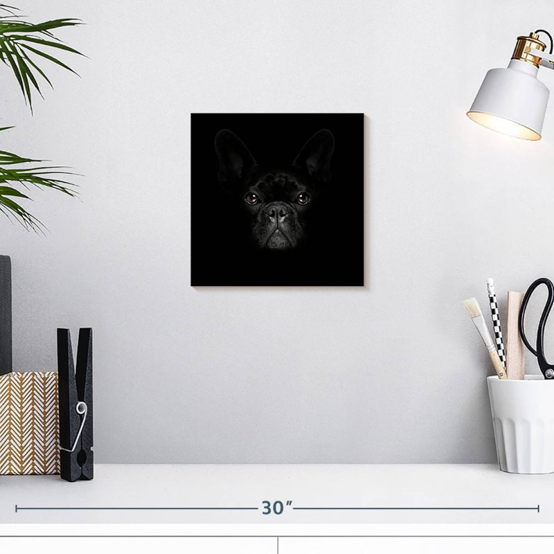 Crowle, bouledogue français mystérieux, H 10 po x l 10 po