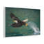 No Frame Print on Canvas