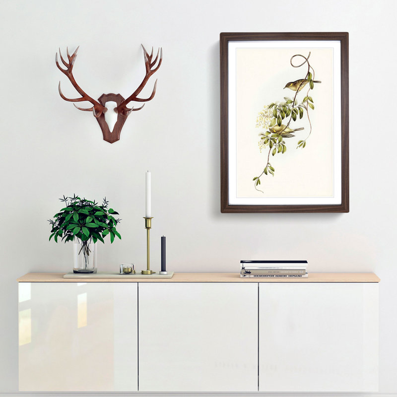 Fuscous Honeyeater Birds by Elizabeth Gould - Picture Frame Painting Print, 65cm H x 48cm W x 2cm D, Walnut Framed