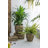 S/2 Iron Flower Pot L:13x13x14.5'' S:11x11x13.5''