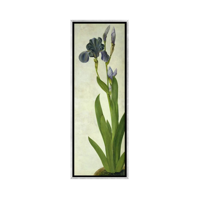 An Iris - impression d'art graphique, H 60 po x l 20 po x P 1,5 po, Toile avec cadre argenté