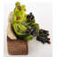 Polyresin Figurine / Sculpture Decorative Object