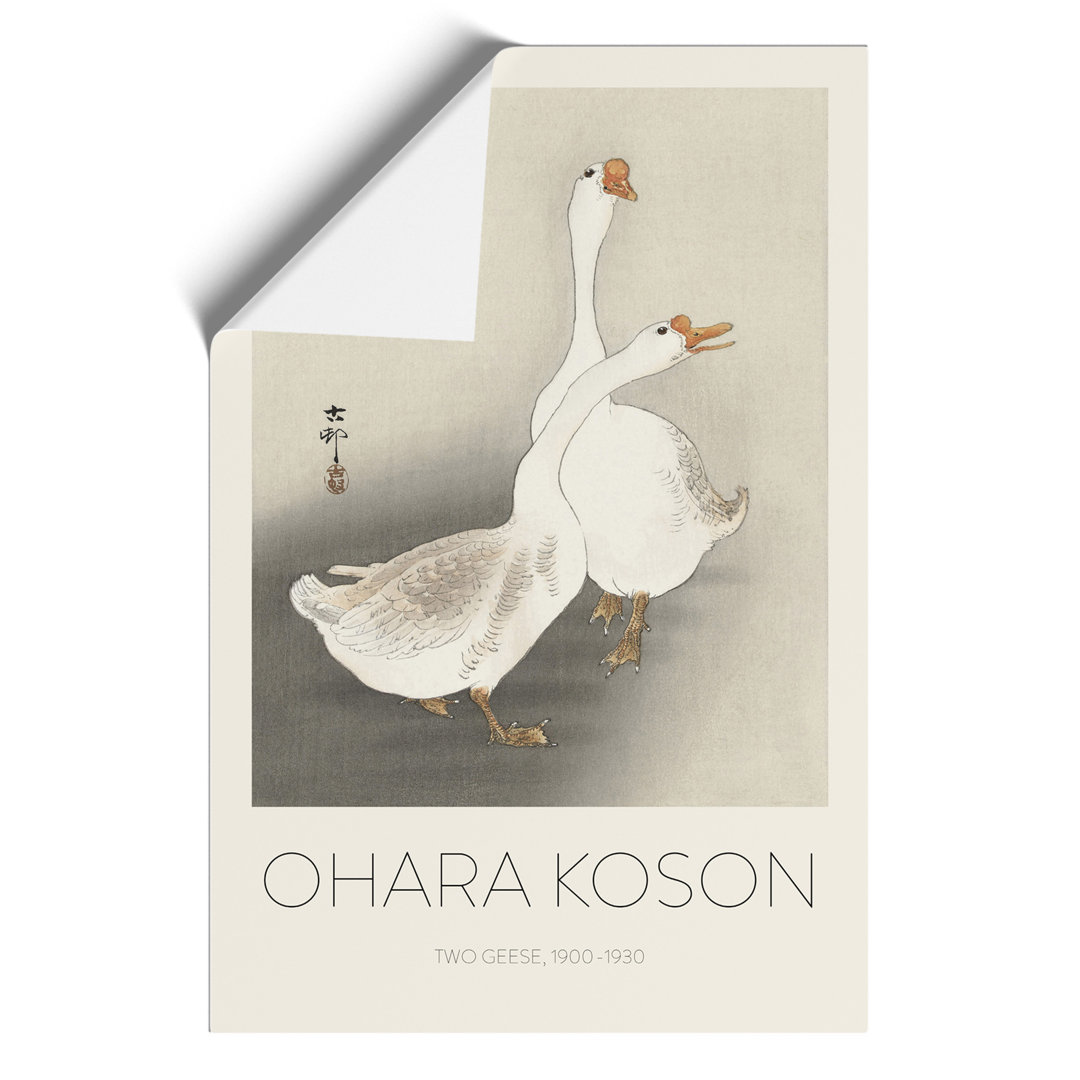 Two Geese Print by Ohara Koson - Frameless Print