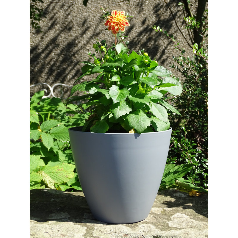 Vanburen Pot Planter, Matt Grey, 26.5cm H x 30.5cm W x 30.5cm D