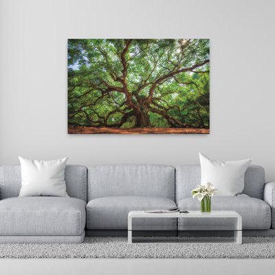 Ange chêne à Charleston, art contemporain de chêne, paysage naturel