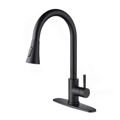 Kitchen Faucet With Pull Out Spraye