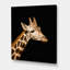Gros plan sur une girafe IV - photographie sur toile-60161902-60161893