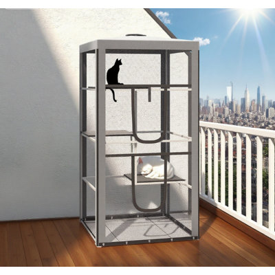 Structure en acier pour chat pour chat