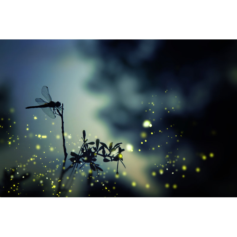 Dragonfly Silhouette - Wrapped Canvas Print, 81cm H x 122cm W x 3.8cm D