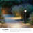 Alden Black Integrated LED Aluminum Bollard Light-97986141