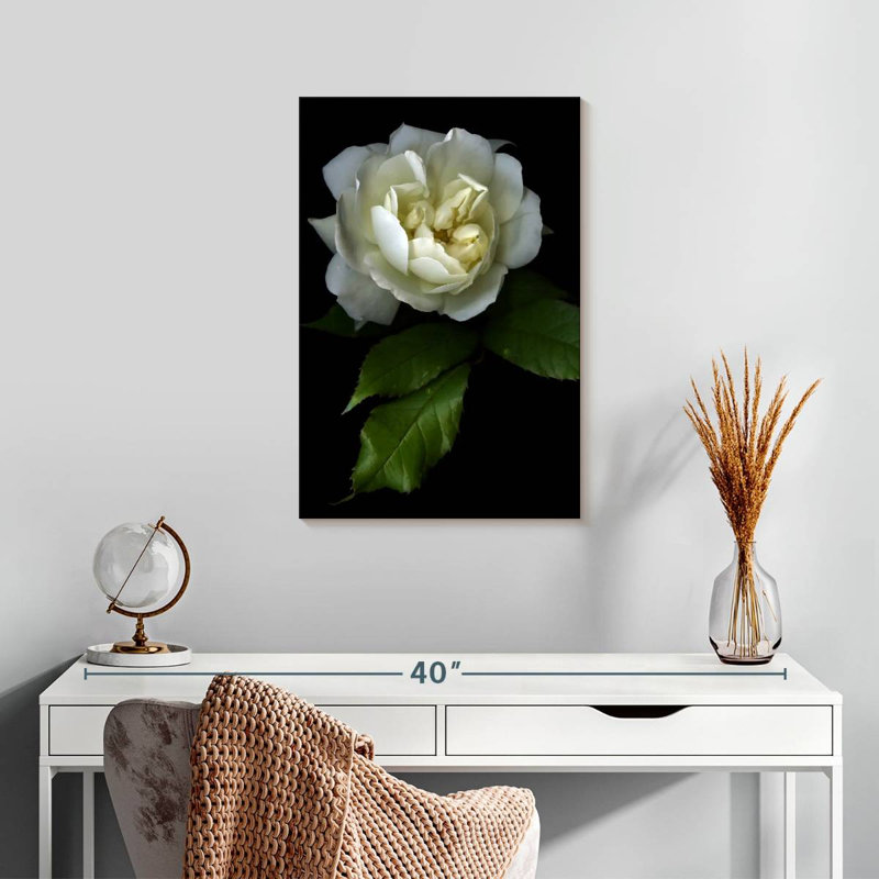 Harnek Lone White Rose, 24" H x 16" W