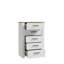 Pulkit 5 - Drawer Rectangle Accent Chest-47966113