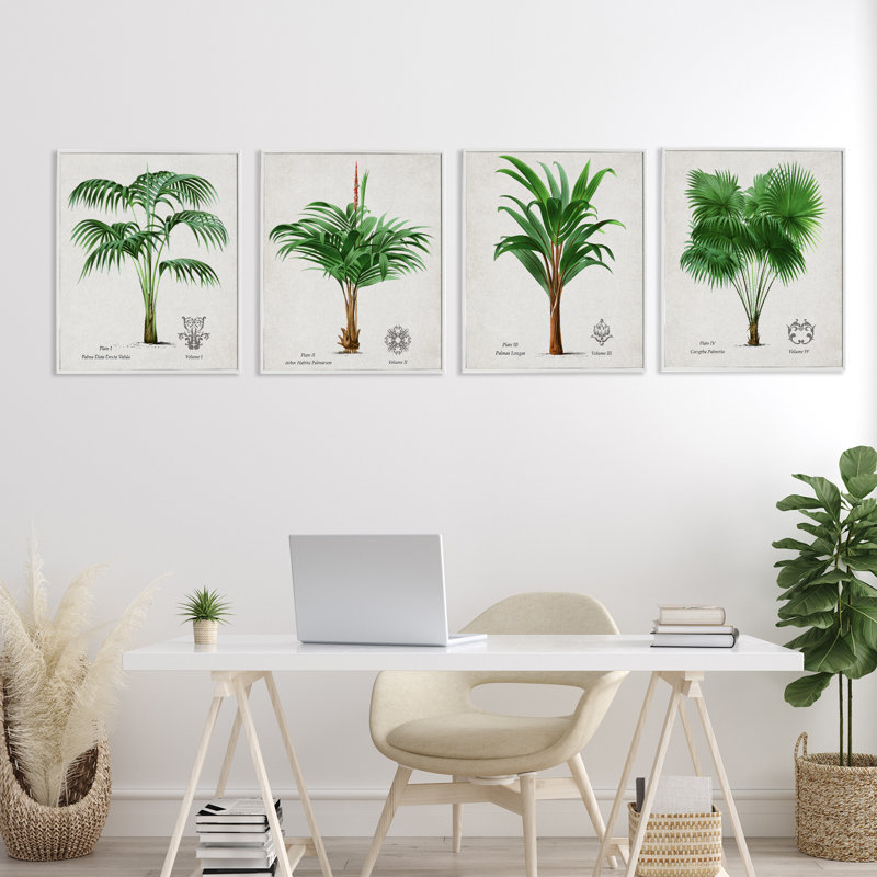 Ensemble de giclées encadrées, 4 pièces Palm, H 20 po x l 16 po, Estampe numérique encadrée blanc bord de mer