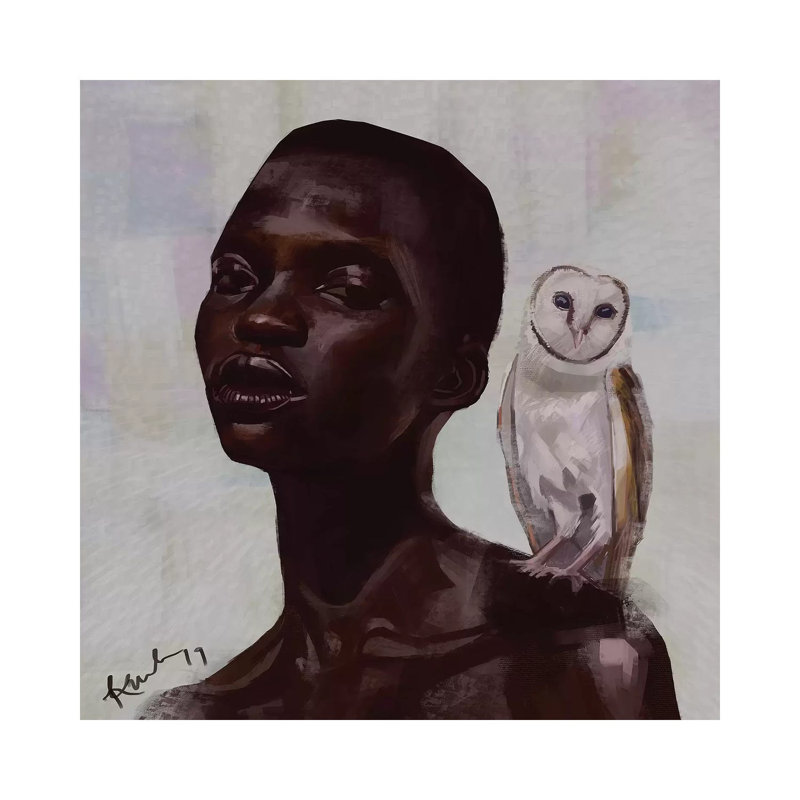 Barn Owl by Adekunle Adeleke - Wrapped Canvas Gallery-Wrapped Canvas Giclée, 45.72 cm H x 45.72 cm W x 1.91 cm D