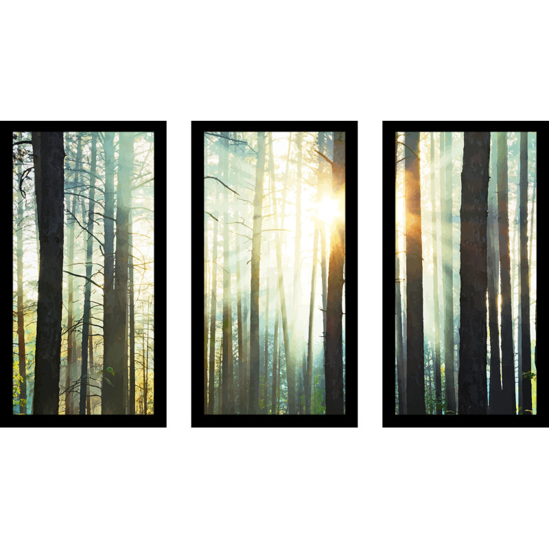 « coucher de soleil dans les bois », ensemble de 3 reproductions de photos encadrées, H 33,5 po x l 52,5 po x P 1 po