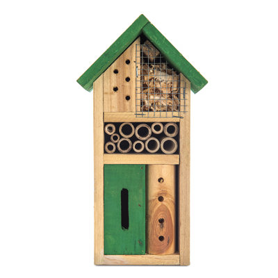 Magana Mounted Butterfly House