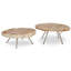 Lastra Nesting Coffee Table