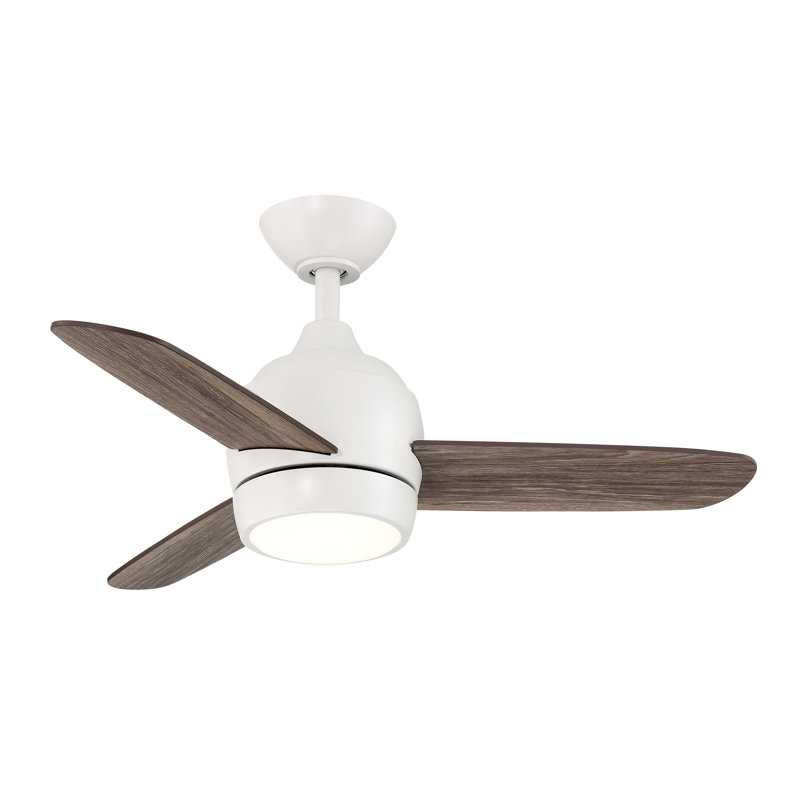Avalanna 36'' Ceiling Fan with LED Lights, Matte White/Oak