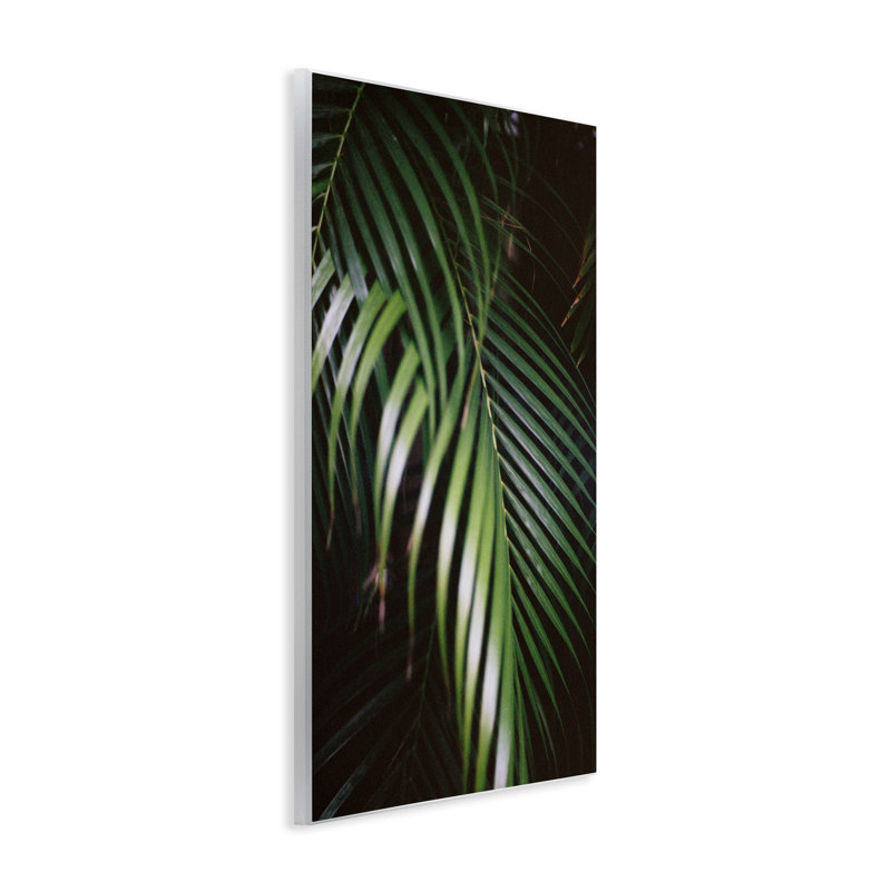 Plaque murale «Palm Leaves Weaving Together» par Jade Sharp Photo, H 19 po x l 13 po