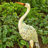 Cecilia Animals Weather Resistant Metal Garden Statue