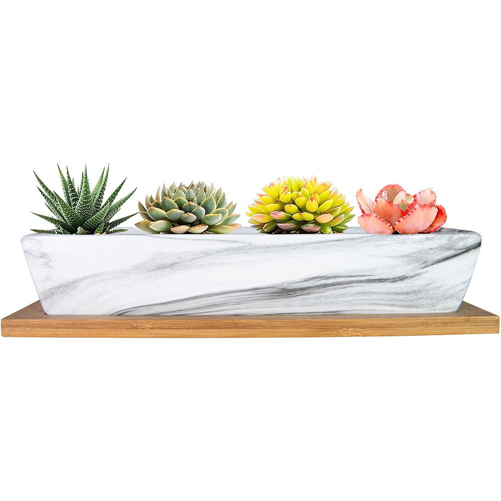 Succulent Pots, 9.8 Inch Ceramic Succulent Planters Wit... Ebern Designs