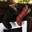Tenenbaum Stocking
