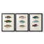 Antique Fish Trio I - Impression personnalisée de qualité supérieure avec cadre mat - 3 pièces-1766832623-1766832622