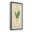 Linnaean Botany IV - Peinture sur toile encadrée-1355942970-1355942973